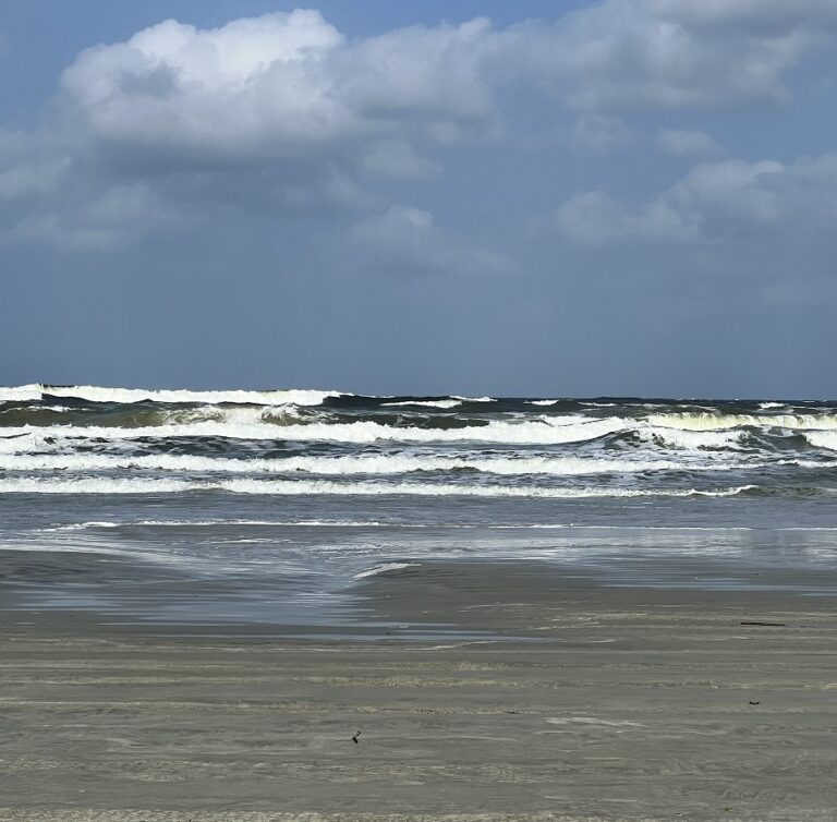 New Smyrna Town Beach 3