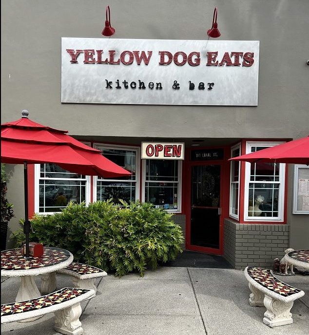 Yellow-Dog-Eats-Outside